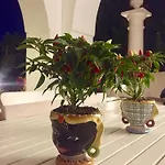 Vakantiehuis Croce